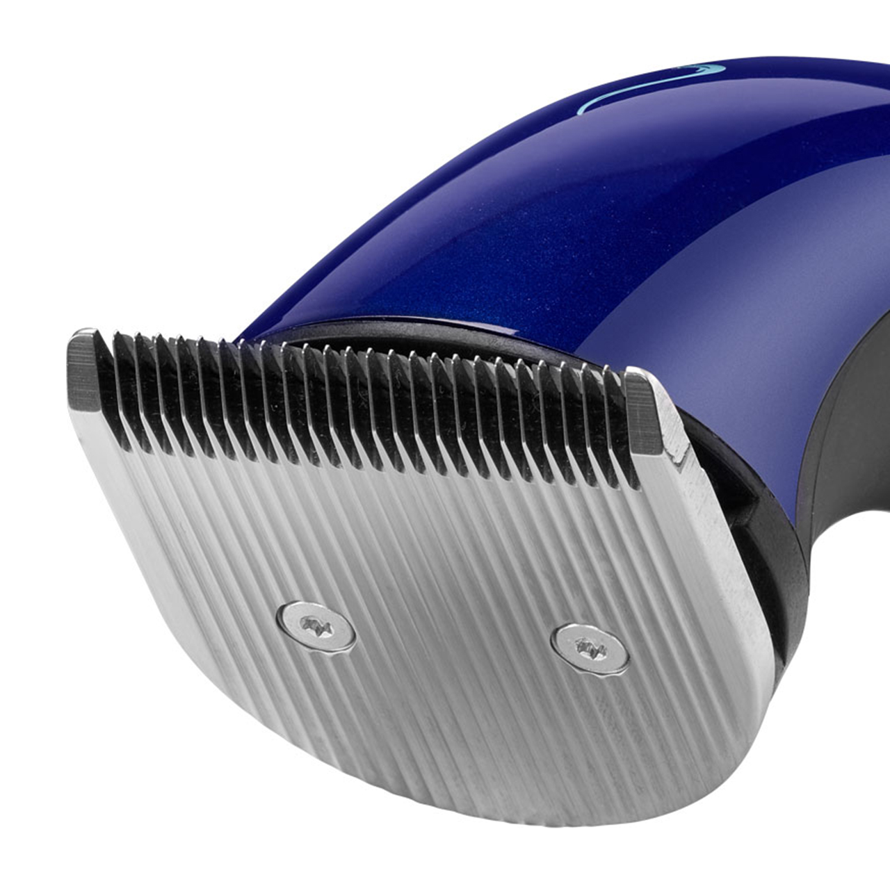 Style Midi Scherkopf