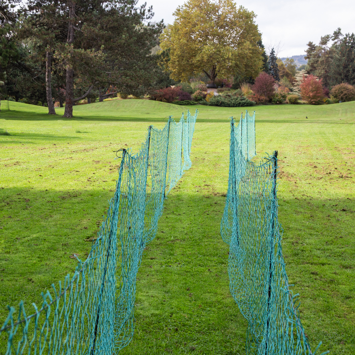 Herkules Smart Geflügelnetz, stromlos, 50 m